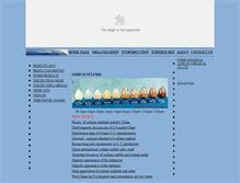 Tablet Screenshot of chinana2s.com